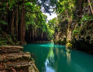 Serene turquoise water flowing through a lush, forested canyon