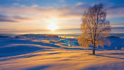 Winter nature landscape with tree in snow field and beautiful cloudy sky on sunset - Powered by Adobe