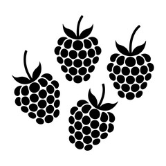 Four raspberries are shown in a black silhouette