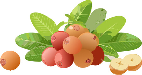 Artistic Representation of Wild Berries: Celebrating the Diversity of Natural, Foraged Foods, Encouraging Environmental Respect and Knowledge of Indigenous Plant Species for Global Awareness.