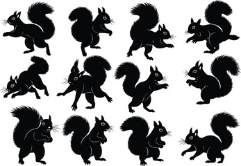 Squirrel silhouette collection, dynamic poses, bushy tails, leaping, standing, playful icons, nature wildlife shapes, flat vector illustration © MdNaimurRahaman