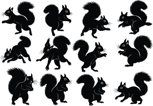 Squirrel silhouette collection, dynamic poses, bushy tails, leaping, standing, playful icons, nature wildlife shapes, flat vector illustration