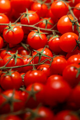 fresh cherry tomatoes on vine