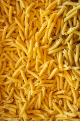 close up of fresh pasta penne