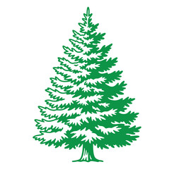 Obraz premium Green vector illustration of a classic evergreen pine tree for christmas decorations