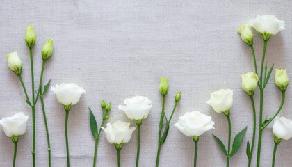Beautiful white spring snowdrop flowers and delicate blooming tulips rest on a rustic wooden background, showcasing nature's beauty