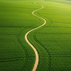 A winding path is bypassed by a direct, straight route cutting through green terrain, symbolizing efficiency and a faster approach ,growth ,easier ,goal