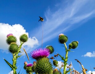 Bright purple thistle blooms against a vibrant blue sky with wispy white clouds