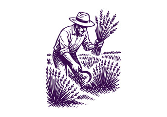 Lavender hand drawn simple sketch vector illustration