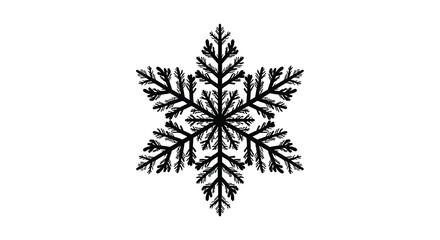 Intricate black snowflake silhouette design with delicate branching patterns on a white background