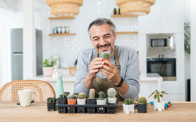 Portrait of happy sme owner senior caucasian man working gardening cactus succulent. Hobby free time or leisure for mature guy at home, startup small business sme owner, Retirement mature farmer