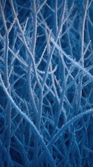 Frosty Winter Branches Closeup Macro Nature Background