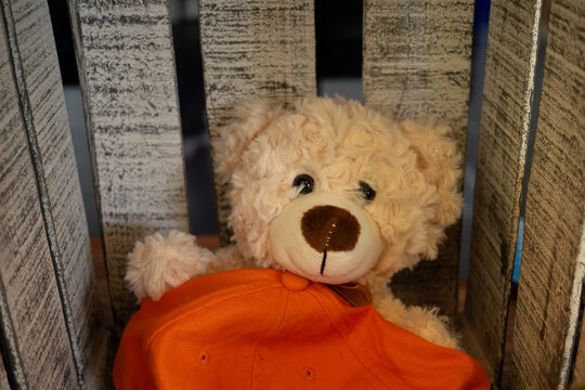 un osito de peluche en caja de madera 