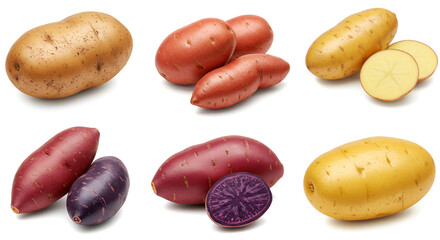 Collection of Different Types of Potatoes Isolated on White Background.
