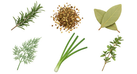 Collection of Fresh Herbs and Spices for Cooking.