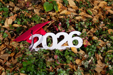 Grad Cap and Year 2026 Nestled in Autumn Leaves Showcasing a Celebratory Moment
