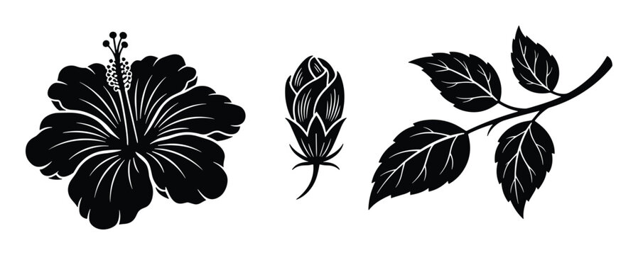 Set of hibiscus flower elements featuring a full bloom a closed bud and a leafy branch in silhouette