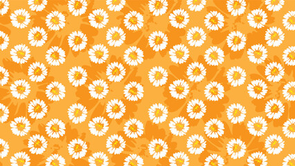 daisy flower white pattern