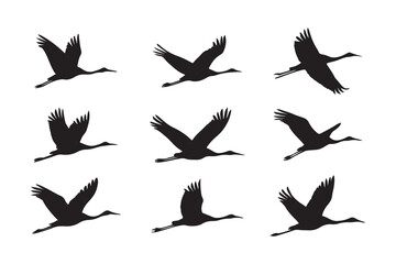 Obraz premium japanese flying crane silhouette collections