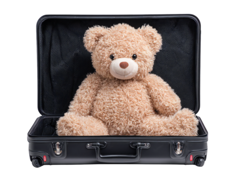 Cute Brown Teddy Bear Sitting Inside Open Suitcase Isolated on Transparent Background