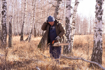 cordless chainsaw.  Close-up of  lumberjack sawing through  tree, sawdust flying everywhere.  lumberjack chops and splits large tree trunks and firewood.