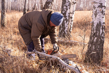 cordless chainsaw.  Close-up of  lumberjack sawing through  tree, sawdust flying everywhere.  lumberjack chops and splits large tree trunks and firewood.