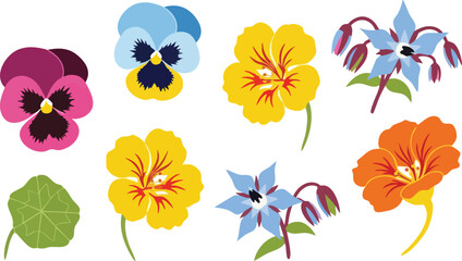 Collection of Colorful Pansy and Nasturtium Flowers with Borage Blossoms and Leaf Isolated on White Background Pixel Art Style