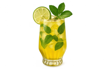 Refreshing mojito cocktail with mint and lime slice