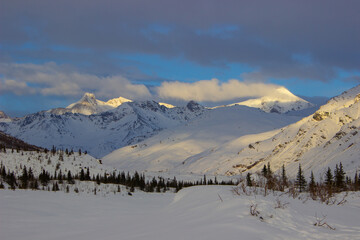 Snowy mountains in Alaska with cloudy skies and shadows across the mountains. Sharp peaks and silhouetted pine trees in the foreground. Majestic and stunning landscape