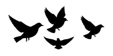 Silhouette of four birds flying