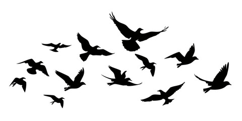 Silhouette of a flock of birds flying