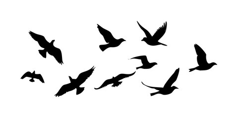 Silhouette of a flock of birds flying