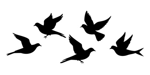 Silhouette of a flock of doves flying