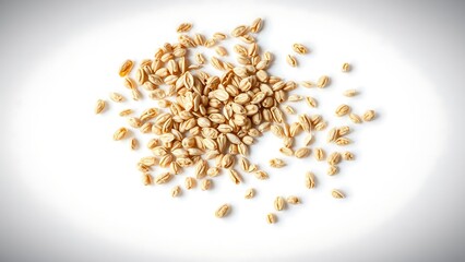 Organic Peeled Spelt Grains