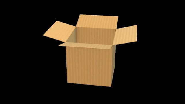 Open Cardboard Box with Raised Flaps