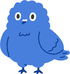 blue pigeon