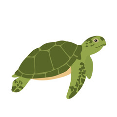 Vector illustration of a green sea turtle isolated on white background. Realistic marine reptile drawing suitable for educational materials, wildlife conservation, and ocean-themed designs