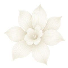 Fototapeta premium Elegant Cream Narcissus Flower Illustration, Soft Beige Floral Botanical Drawing, Digital Art