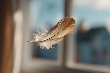 A floating feather, highlighting lightness, beauty, and serene atmosphere.