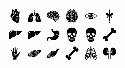 Human anatomy and internal organs icons in glyph style isolated on white background