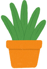 plant in pot