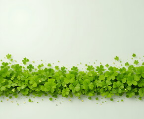 Fresh green clovers forming a natural border on a clean white background.