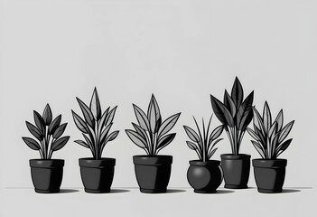 Monochrome potted house plants illustration. black white graphic design element, minimal botanical sketch drawing, artistic decor simple.