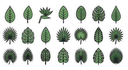 Collection of Tropical Green Leaf Icons and Botanical Illustrations Isolated on White Background