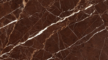 Dark Brown Marble Texture with White Veins