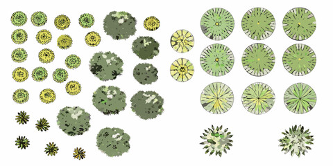 Collection of stylized top down view illustrations of various trees and bushes for architectural landscaping design