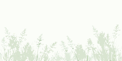 Soft focus silhouette of delicate green grass stalks and seed heads against a bright white background