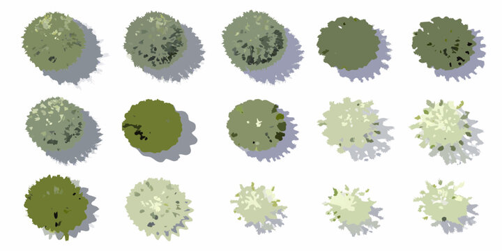 Collection of stylized top view trees with shadows for architectural visualization and design projects