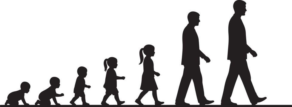 Life stages progression