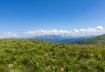 High-altitude meadows with flowers and green vegetation during the summer and autumn seasons